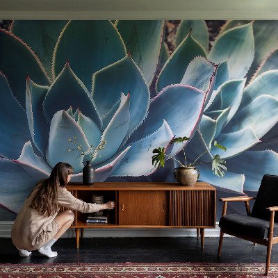 Vlies-Fototapete fürs Schlafzimmer Grüne Aloe