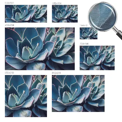Vlies-Fototapete fürs Schlafzimmer mit grünem Aloe‑Motiv