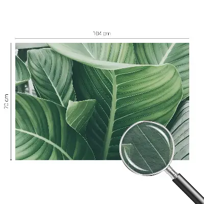 Fototapete aus Vlies mit dem Motiv 