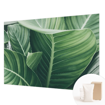 Fototapete aus Vlies Grüner Frieden