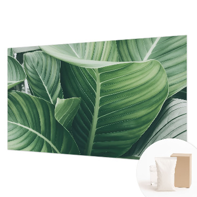 Fototapete aus Vlies Grüner Frieden