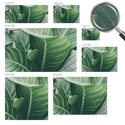 Fototapete aus Vlies mit dem Motiv 