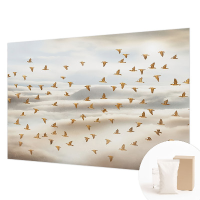 Vlies-Fototapete mit Vögeln im Flug als Motiv