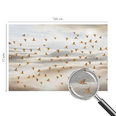 Vlies-Fototapete Vögel im Flug