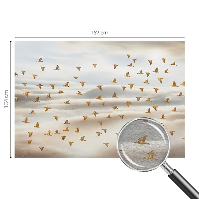 Vlies-Fototapete mit Vögeln im Flug als Motiv