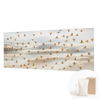 Vlies-Fototapete Vögel im Flug