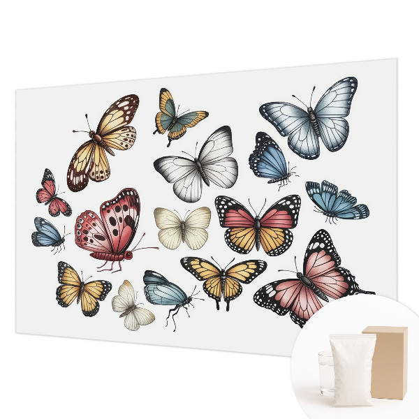 Fototapete fürs Kinderzimmer Paradiesfalter