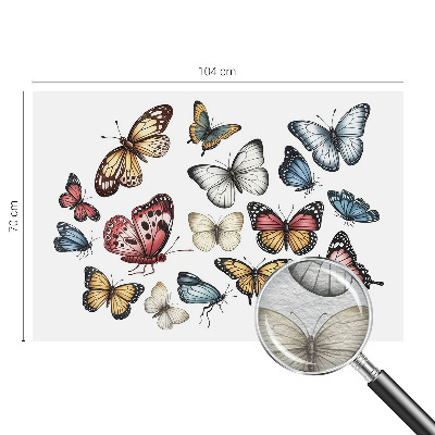 Fototapete fürs Kinderzimmer Paradiesfalter