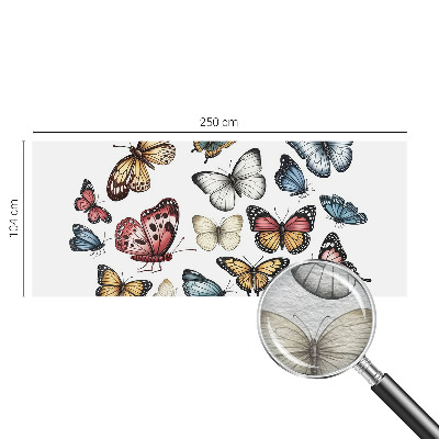 Fototapete fürs Kinderzimmer Paradiesfalter