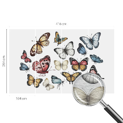 Fototapete fürs Kinderzimmer Paradiesfalter