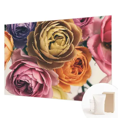 Vliestapete fürs Wohnzimmer mit bunten Rosen