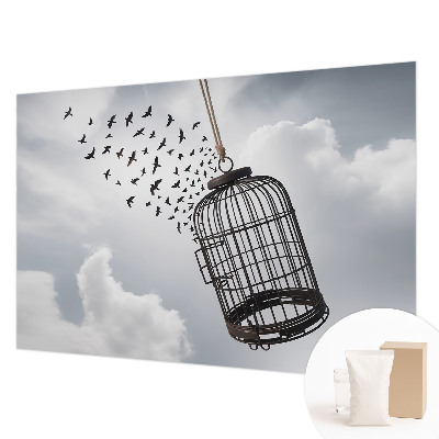 Vlies-Fototapete nach Maß mit Motiv fliegender Vögel