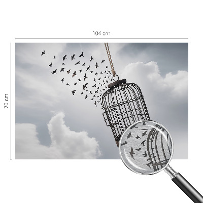 Vlies-Fototapete nach Maß mit Motiv fliegender Vögel
