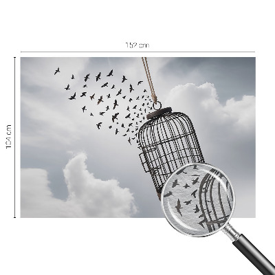 Vlies-Fototapete nach Maß mit Motiv fliegender Vögel