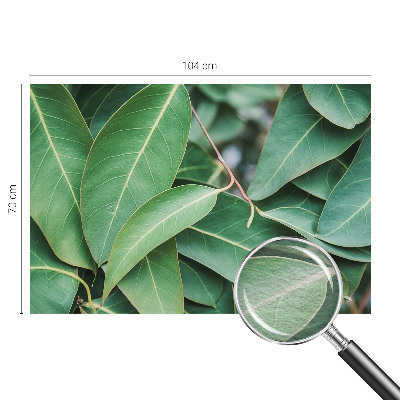 Moderne Vlies-Fototapete Grüne Blätter