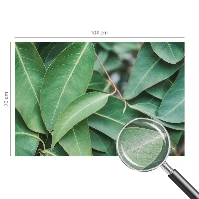 Moderne Vlies-Fototapete mit grünem Blattmotiv