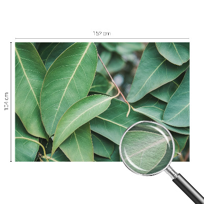 Moderne Vlies-Fototapete Grüne Blätter