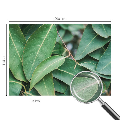 Moderne Vlies-Fototapete Grüne Blätter