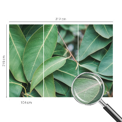 Moderne Vlies-Fototapete Grüne Blätter