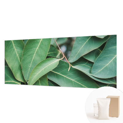 Moderne Vlies-Fototapete Grüne Blätter
