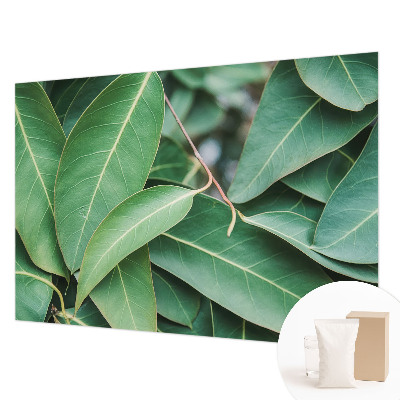 Moderne Vlies-Fototapete Grüne Blätter