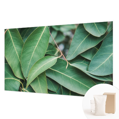 Moderne Vlies-Fototapete Grüne Blätter