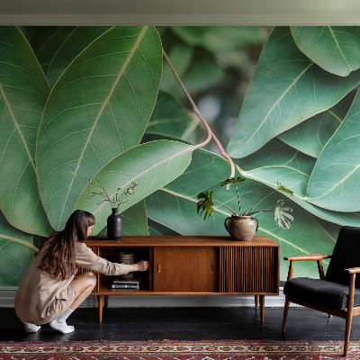 Moderne Vlies-Fototapete Grüne Blätter