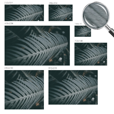 Fototapete nach Maß Grünes Blatt