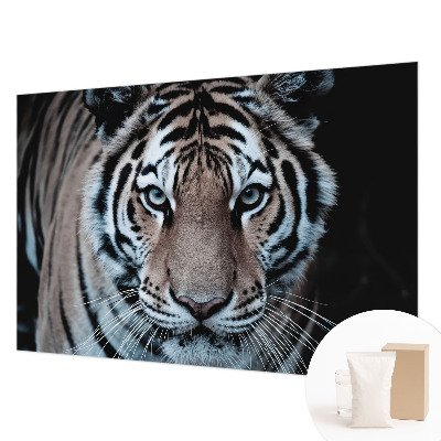 Motivtapete aus Vlies mit einem Tigerporträt als Motiv