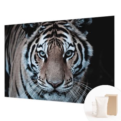 Motivtapete aus Vlies mit einem Tigerporträt als Motiv