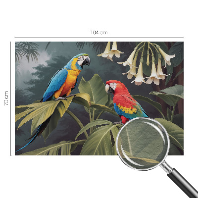 Vlies-Fototapete mit bunten Papageien als Motiv