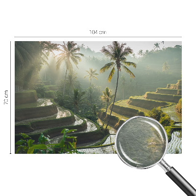 Vlies-Fototapete fürs Schlafzimmer mit dem Motiv „Paradiesterrassen“