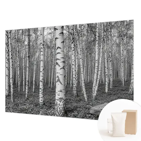 Vliestapete fürs Schlafzimmer mit Birkenwald-Motiv