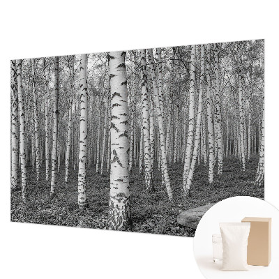 Vliestapete fürs Schlafzimmer mit Birkenwald-Motiv
