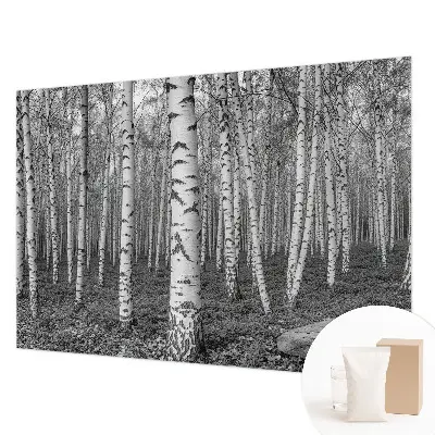 Vliestapete fürs Schlafzimmer mit Birkenwald-Motiv
