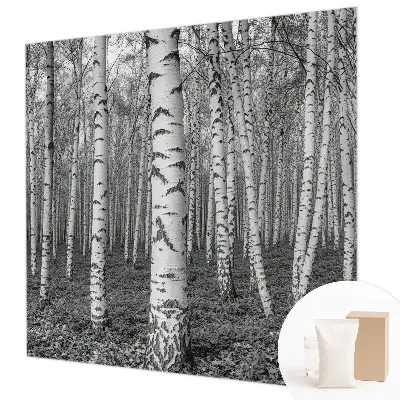Vliestapete fürs Schlafzimmer mit Birkenwald-Motiv