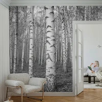 Vliestapete fürs Schlafzimmer mit Birkenwald-Motiv