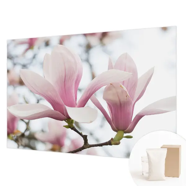 Dekorative Wand-Fototapete mit Motiv von Magnolienblüten