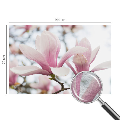 Dekorative Wand-Fototapete Magnolienblüten