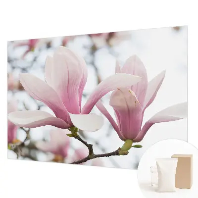 Dekorative Wand-Fototapete mit Motiv von Magnolienblüten