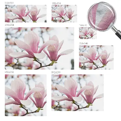 Dekorative Wand-Fototapete mit Motiv von Magnolienblüten
