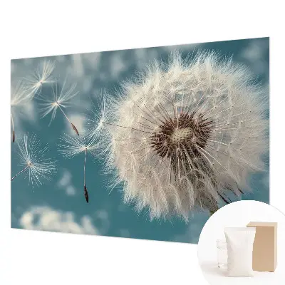 Dekorative Wand-Fototapete mit einem dezenten, luftigen Motiv