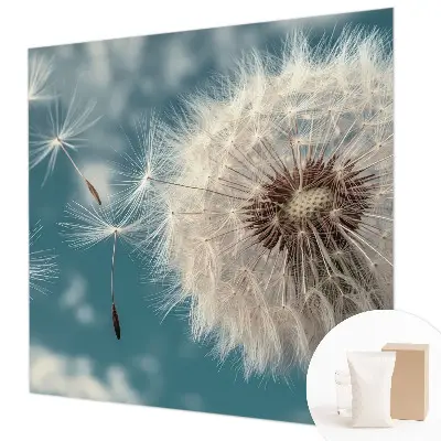 Dekorative Wand-Fototapete mit einem dezenten, luftigen Motiv