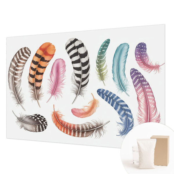 Vlies-Fototapete fürs Wohnzimmer Pastellfarbene Federn