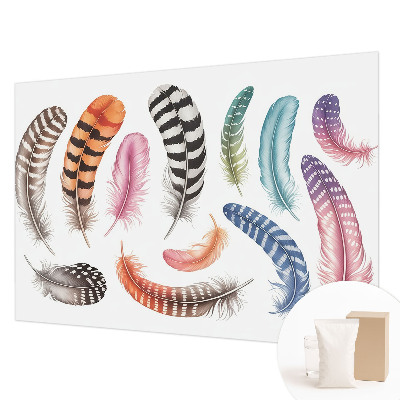 Vlies-Fototapete fürs Wohnzimmer Pastellfarbene Federn
