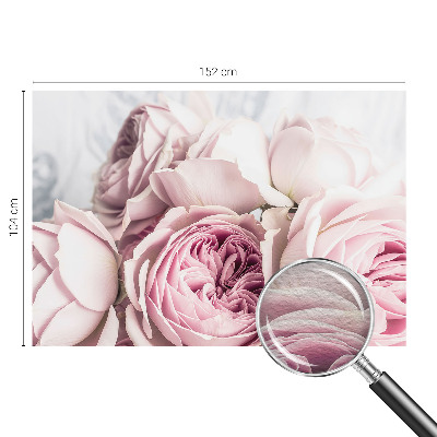 Fototapete fürs Wohnzimmer mit rosa Rosenmotiv