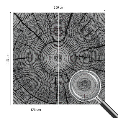 Motivtapete aus Vlies Harmonie des Waldes