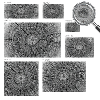 Motivtapete aus Vlies Harmonie des Waldes