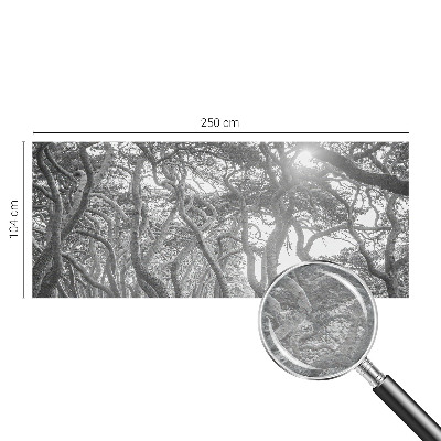 Fototapete fürs Kinderzimmer Atmosphärischer Wald