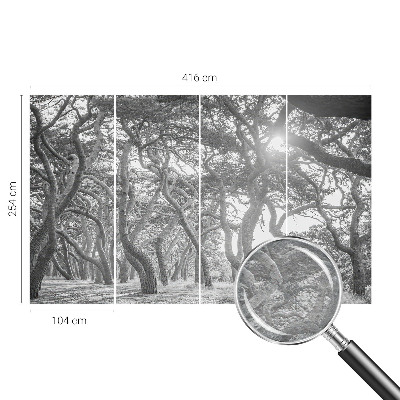 Fototapete fürs Kinderzimmer Atmosphärischer Wald